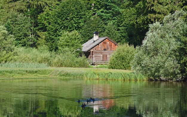 Photo maison au bord du lac contre les arbres et les plantes