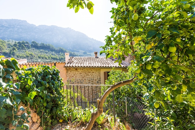 Maison Baléares à Majorque dans les îles Baléares