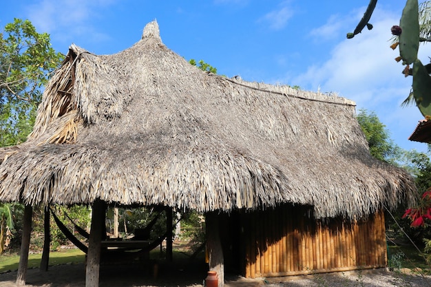 Maison en bambou bois naturel Eco house texture arbre d'art sous les tropiques