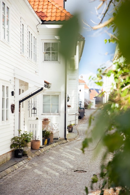 Une maison blanche avec un arbre devant