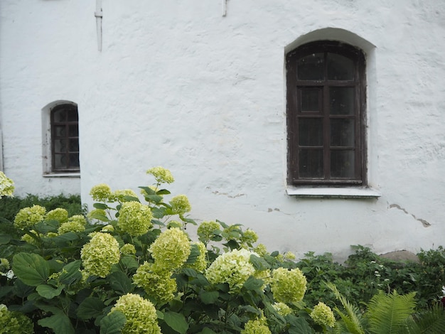 Photo une maison blanche avec un buisson vert et des fleurs devant.