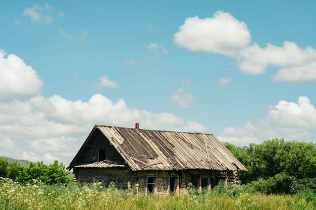 Maison En Bois Abandonnée Au Milieu De La Zone Envahie Par La Végétation. Village.