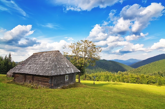 Maison en bois abandonnée dans les montagnes et la forêt. Dans les Carpates.