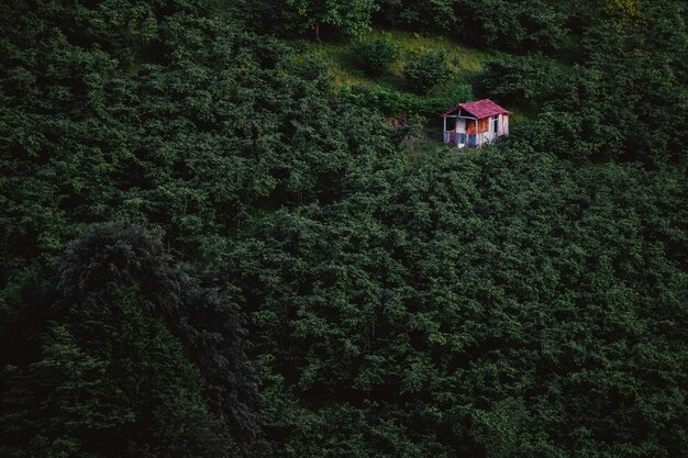 La maison en bois est dans la forêt profonde