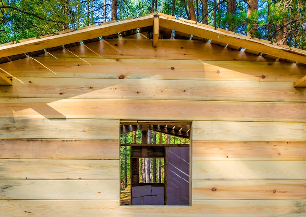 Maison en bois inachevée dans la forêt en été.