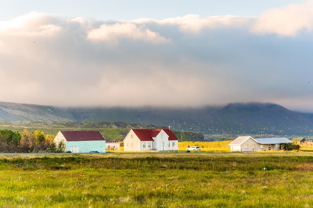 Maison en bois islandais brillant de lumière du soleil sur le pré et oiseau volant au coucher du soleil l'été au village de pêcheurs d'Arnarstapi Islande