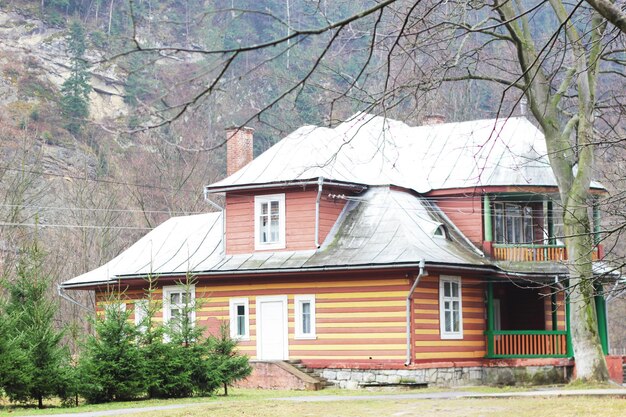 Maison en bois avec des pins