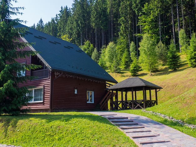 Maison en bois pittoresque sur fond des Carpates