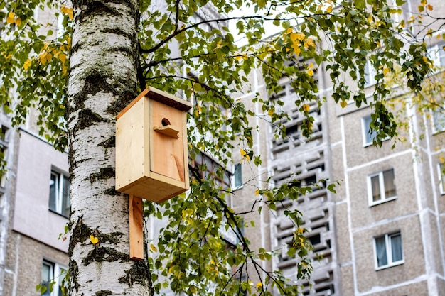 Photo maison en bois pour oiseaux sur le bouleau