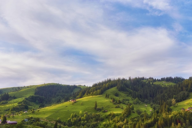 Une maison en bois sur un pré vert dans les montagnes Une maison près d'une vieille forêt