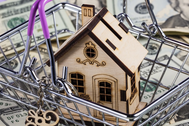 maison en bois se dresse dans le panier de dollars.