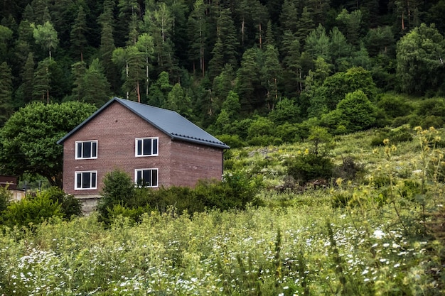 Photo maison en brique sur fond de forêt de conifères