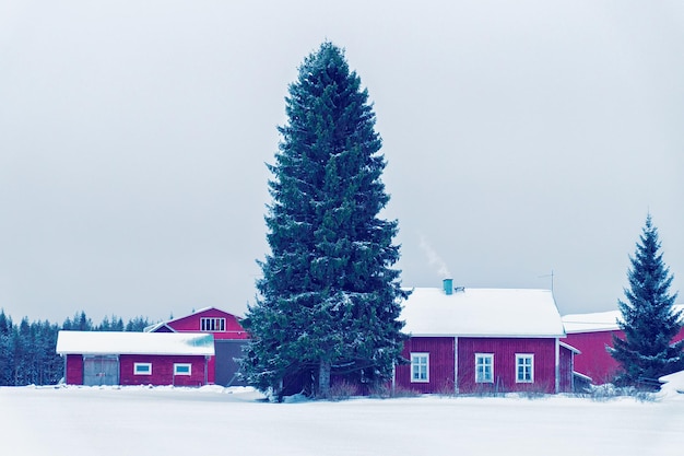 Maison de campagne en campagne d'hiver, en Laponie, Finlande