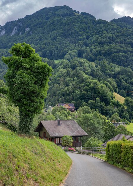 Une maison sur une colline avec un arbre devant