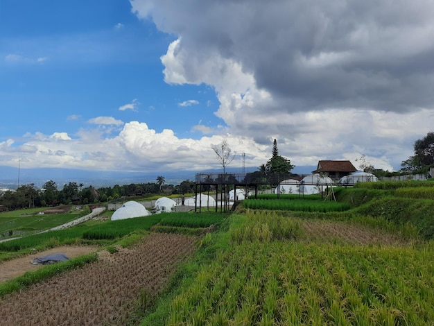 La maison sur la colline