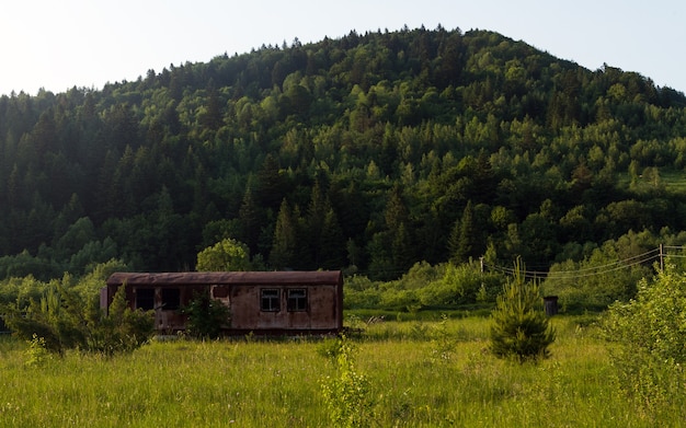 Maison de conteneur dans la forêt