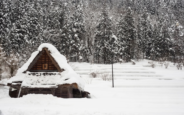 Maison Couverte De Neige