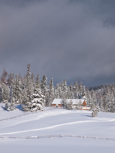 Maison dans les bois recouverts de neige.