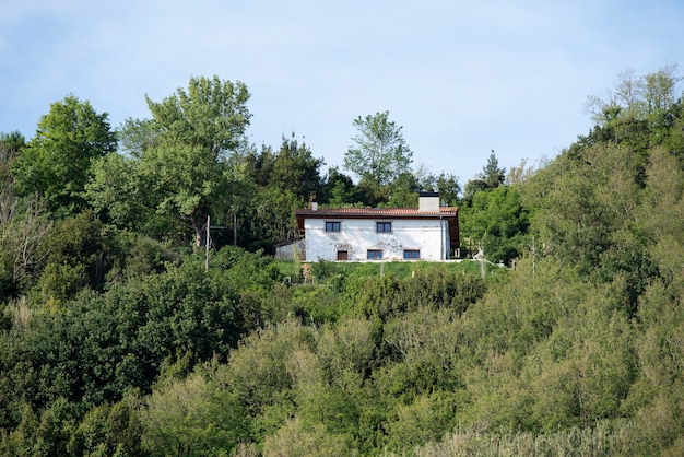 maison dans la brousse parmi les arbres