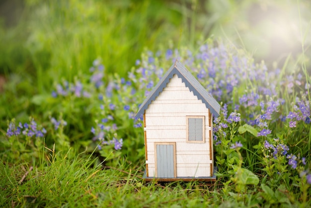 Maison dans un pré aux fleurs violettes, achat ou location d'une maison dans la nature, concept immobilier