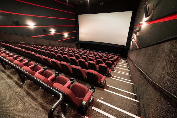 Photo la maison du cinéma