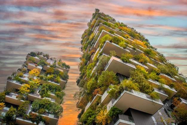 Maison écodurable forêt verticale