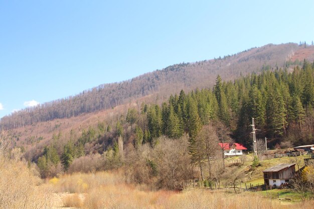 une maison est assise sur une colline avec un toit rouge