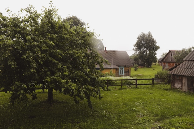 Maison européenne en bois dans une campagne pittoresque en été