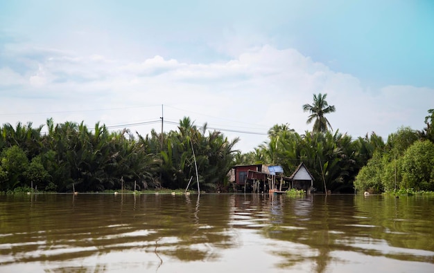 Maison flottante vivant au bord de la rivière avec palmier en campagne