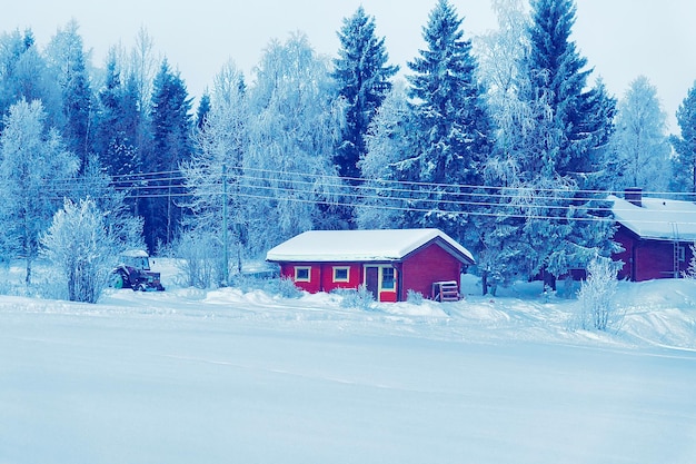 Maison et forêt d'hiver de neige à Noël en Finlande, Laponie
