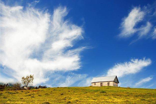 Une maison grise solitaire se dresse sur un pré vert humide parmi un épais brouillard gris