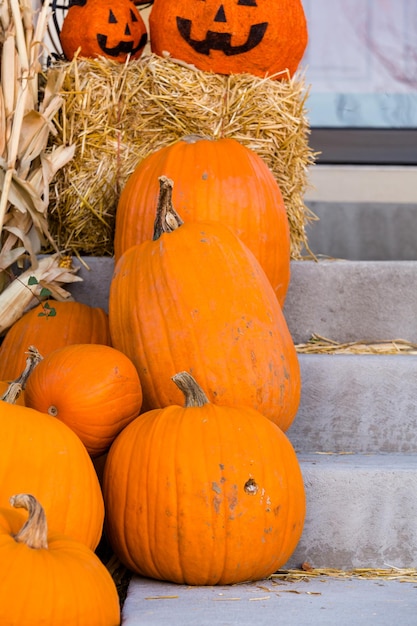 Maison d'habitation décorée pour les vacances d'Halloween.