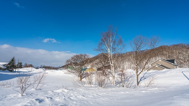 Maison en hiver