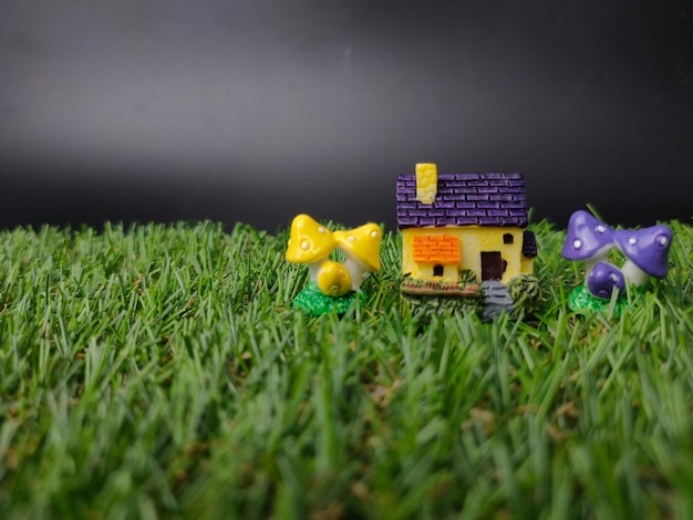 Maison miniature avec champignon sur herbe verte et fond noir