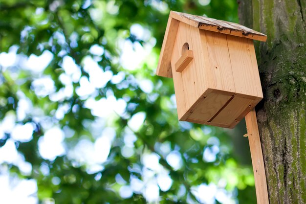 Maison D'oiseau Jaune En Bois Ou Nichoir Sur Un Arbre Dans Un Parc D'été Ou Une Forêt.