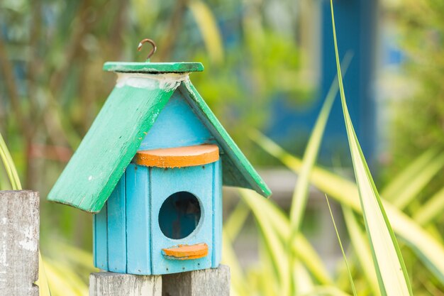 Maison des oiseaux