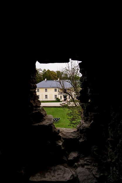 Photo maison par arbre contre bâtiment