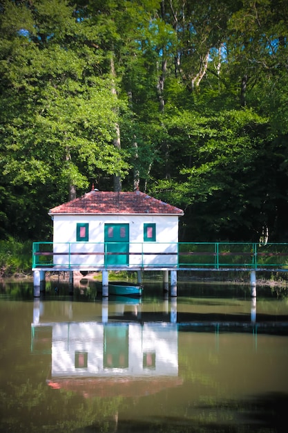 Photo maison sur pilotis dans le lac contre les arbres dans la forêt