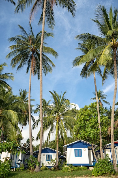 Maison sur la plage près des palmiers avec vue sur la plage de sable