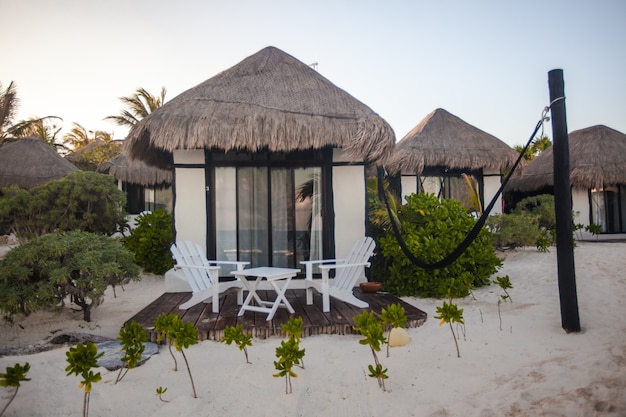 Maison de plage tropicale au bord de l'océan parmi les palmiers