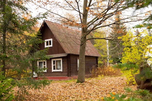 Maison de plain-pied en bois dans la forêt à l'automne.