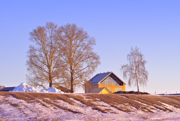 Maison sur la rive hivernale de la mer d'Ob La pente de la plage d'arbres nus