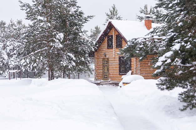 Maison en rondins rustique, pins couverts de neige avec beau paysage d'hiver