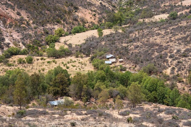 Une maison rurale abandonnée dans les montagnes avec des cactus