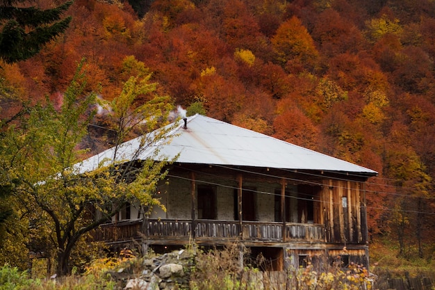 Photo maison rurale sur fond de forêt d'automne