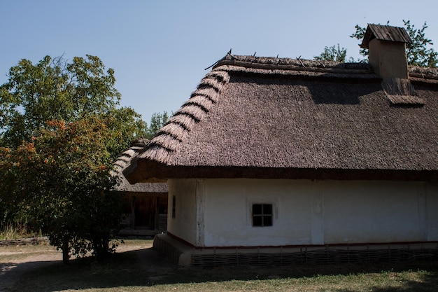 Maison slave blanche au toit de chaume