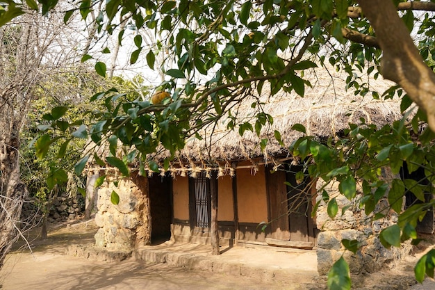 Une maison avec un toit de chaume et un arbre en arrière-plan