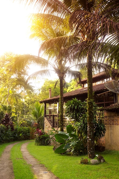 Maison traditionnelle du Brésil. chemin le long de la maison et palmiers dans le jardin, Brésil