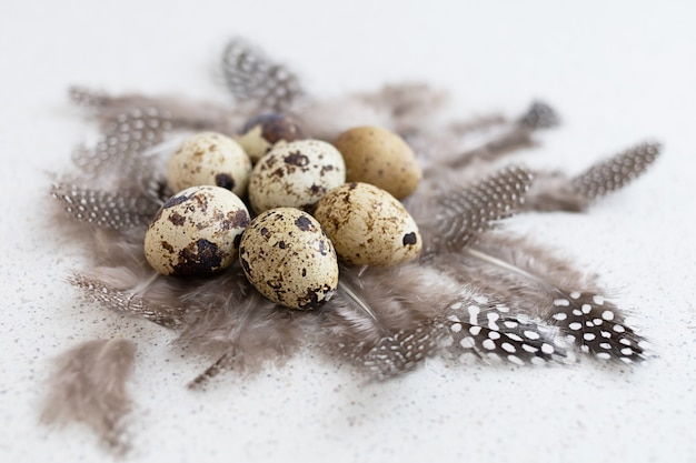 Maison traditionnelle grise, oeufs de caille bruns dans un nid de plumes