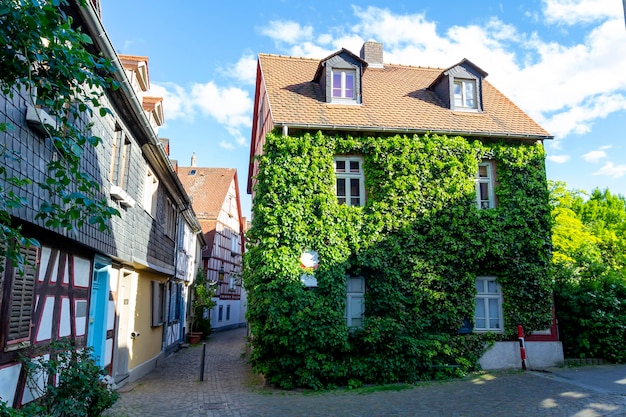 Maison verte dans une rue résidentielle